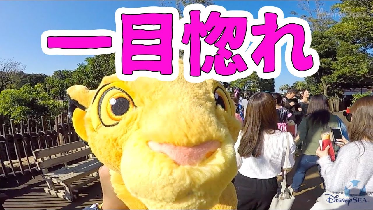 東京ディズニーシー シンバに一目惚れ Youtube