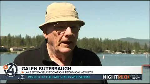 Avoid toxic algae blooms in local lakes