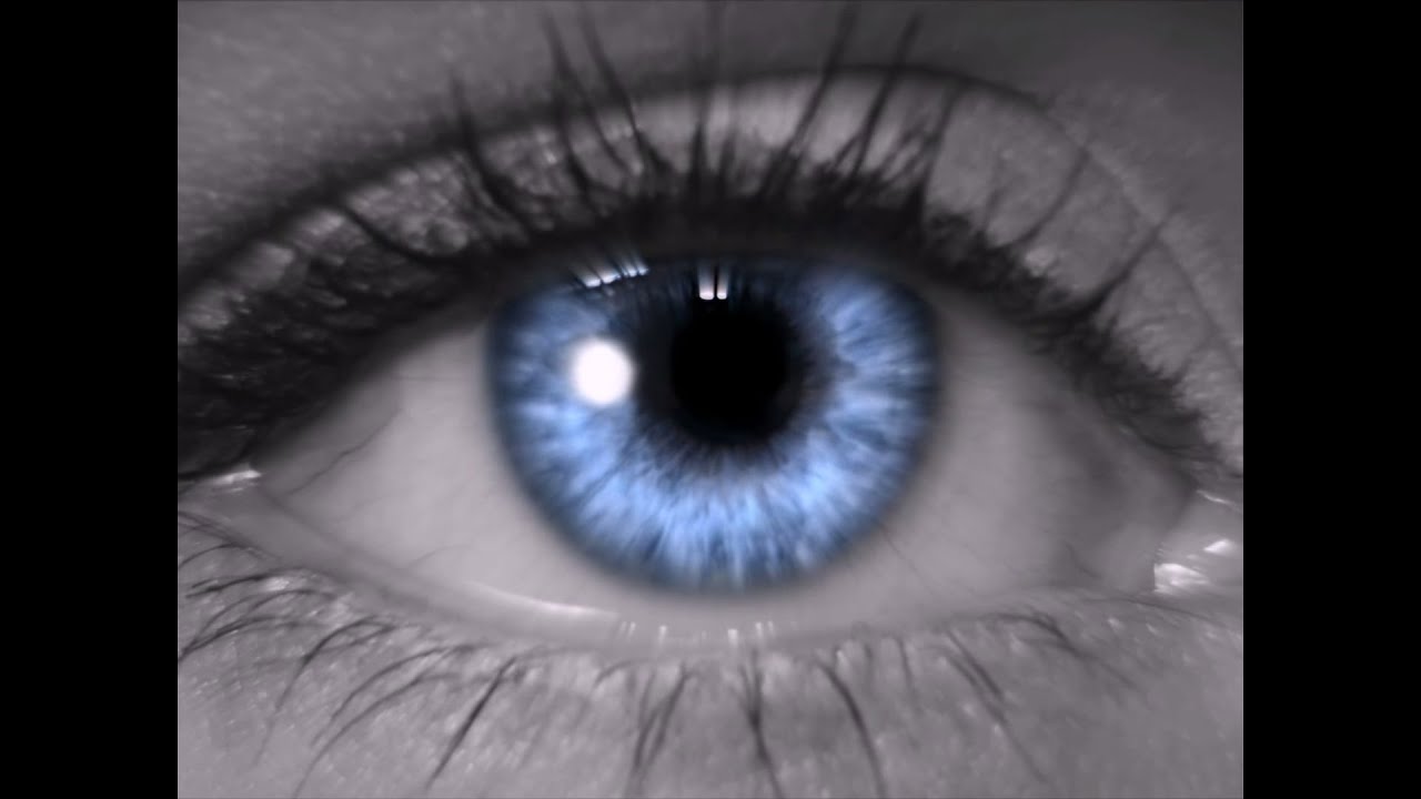 Прохождение The Emptiness (Пустота) Начало #1