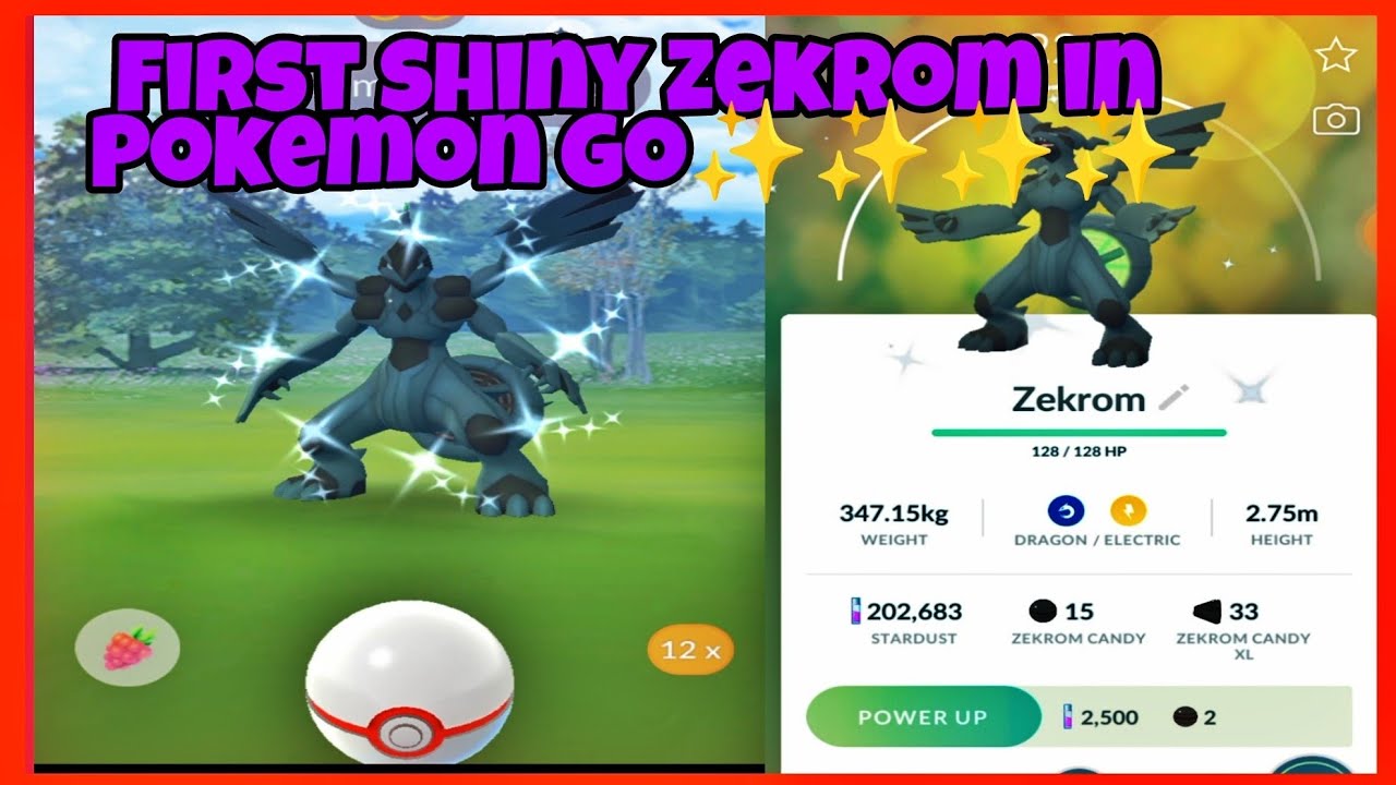 Fixing Shiny Zekrom #pokemon #pokemontiktok #fyp #pokemongo #shinypoke, Pokémon