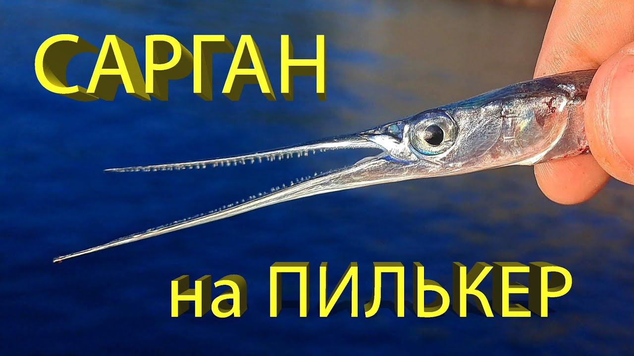 🔥 Как поймать САРГАНА на СПИННИНГ? Проводки и оснастки ПИЛЬКЕРОВ. Рыбалка на Черном море в Крыму 🔥