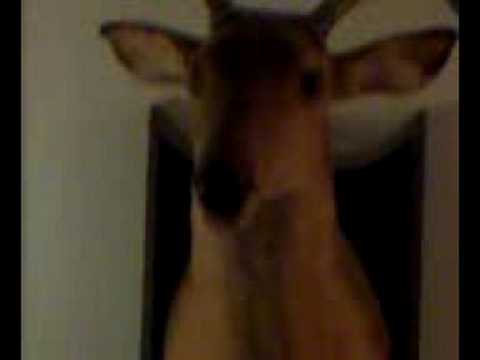 YouTubeでgangsta deerを視聴