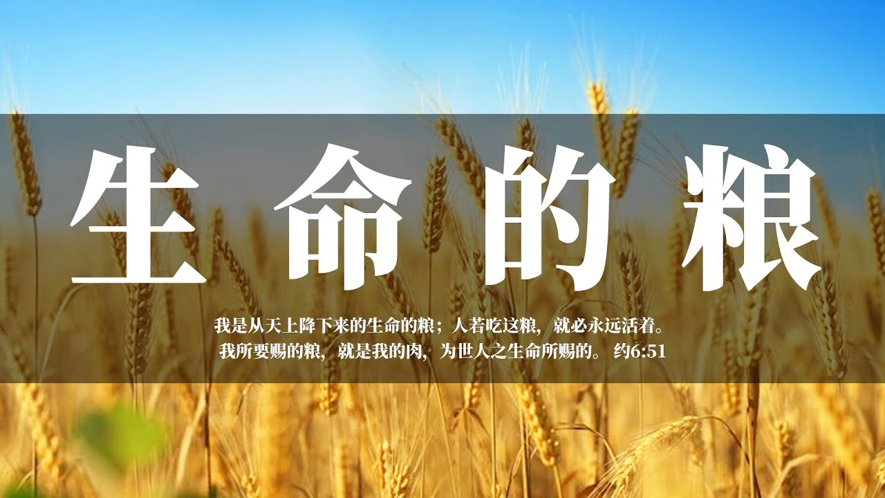 【睡前祷告】生命的粮20240907 - 主啊,你的话语是我们的力量和引导,你的生命之粮是我们灵魂的饱足。求你帮助我们在每日的生活中,常常默想 ...