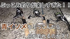 タビカツリチャンネル Youtube
