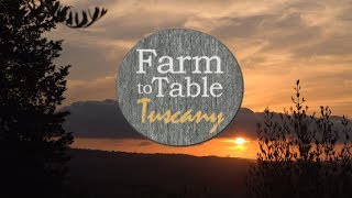 FARM to TABLE - TUSCANY - Sizzle