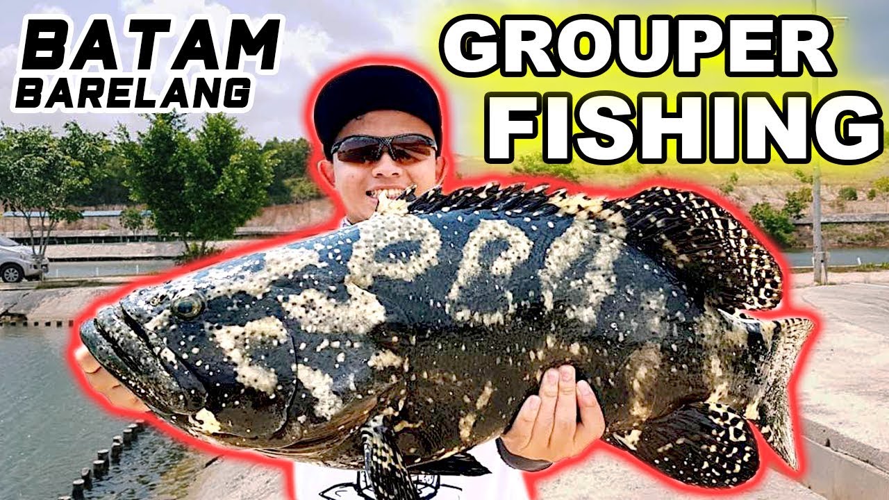 Рыбалка в Батамском пруду (Бареланг) | ФЕЙСПАЛМ ВЛОГ 24