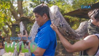 Why did this 17-foot python lose its appetite? | Born to be Wild