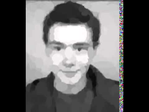 Genetic algorithm approaching an image of me with ellipses