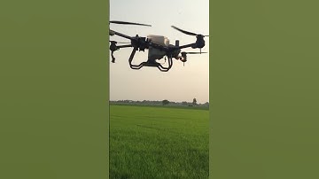 Hết Tết rồi, ra đồng rải phân thôi các bác ơi! #dji #maybayphunthuoc #djit20p #shorts