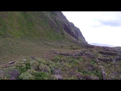 Achadas Da Cruz Teleferic -  Madeira