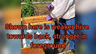 Moving frames from strong hive to weak hive