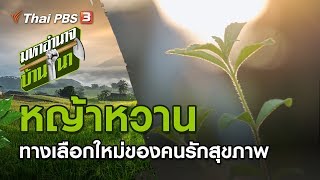 หญ้าหวาน ทางเลือกใหม่ของคนรักสุขภาพ : มหาอำนาจบ้านนา (1 มี.ค. 63)