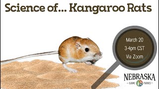 Science of...Kangaroo Rats Science of...Kangaroo Rats