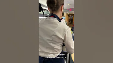 Семейный вагон в поезде САПСАН. Как путешествовать с детьми? #shorts #сапсан #москвапитер