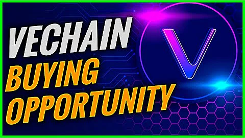 Does VeChain have a future?