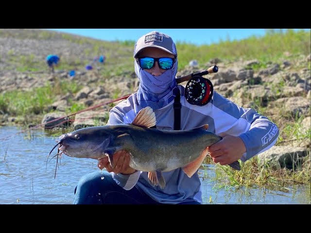 Fly Fishing For Catfish!! 