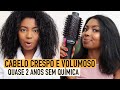 ESCOVA SECADORA E ALISADORA FUNCIONA MESMO? #2 Camila Nunes