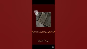 #قران_كريم #اكسبلور #سورة_الفرقان #بدون_ذنوب 🦢🌸🌷