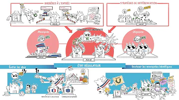 Quelles sont les caractéristiques d'un monopole ?