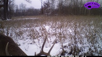 Mr Whitetail Dr Deer - Food Plot Master Video Year 2013 - Time Lapse View SouthWest