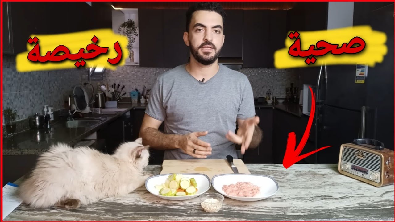 أفضل وجبة لقطتك من البيت / صحية ورخيصة