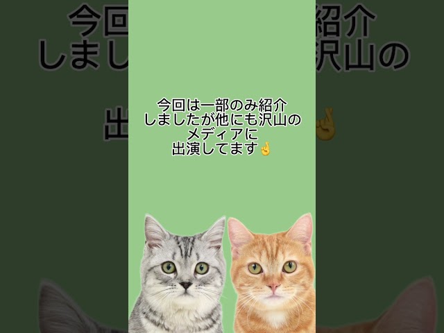 キャットスタイルねこちゃんたちのペットモデル出演情報🐱 #anime #cat #munchkin #かわいい子猫 #猫のいる暮らし #catbreed #ねこ
