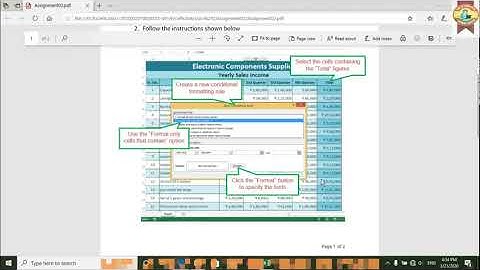 Advance Excel  Conditional Formatting Ass 2