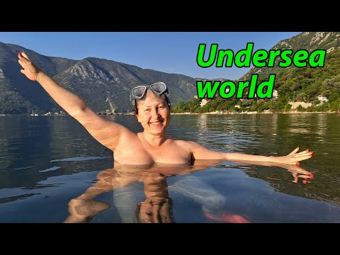 About the underwater world of the Adriatic Sea. My life in Montenegro. Travel. Mila Naturist.