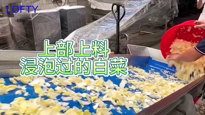 SUS304 Fruit Elevator ------- LOFTY MACHINERY