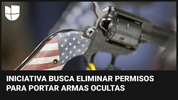 ¿Por qué Florida no puede portar armas?