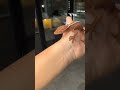 LANGKA!!! Buaya Merah