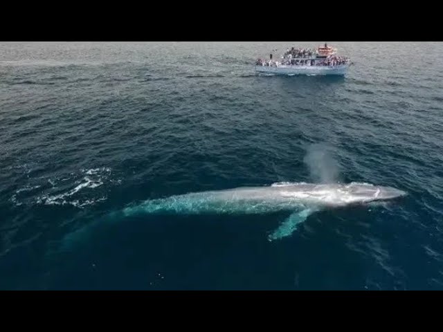 Dogistonlik ayollar bilan jinsiy aloqani onlayn tomosha qiling Chubby bekasi va qul porno