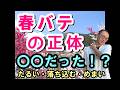 【春バテ】だるさ・めまい・落ち込みの本当の原因と対策