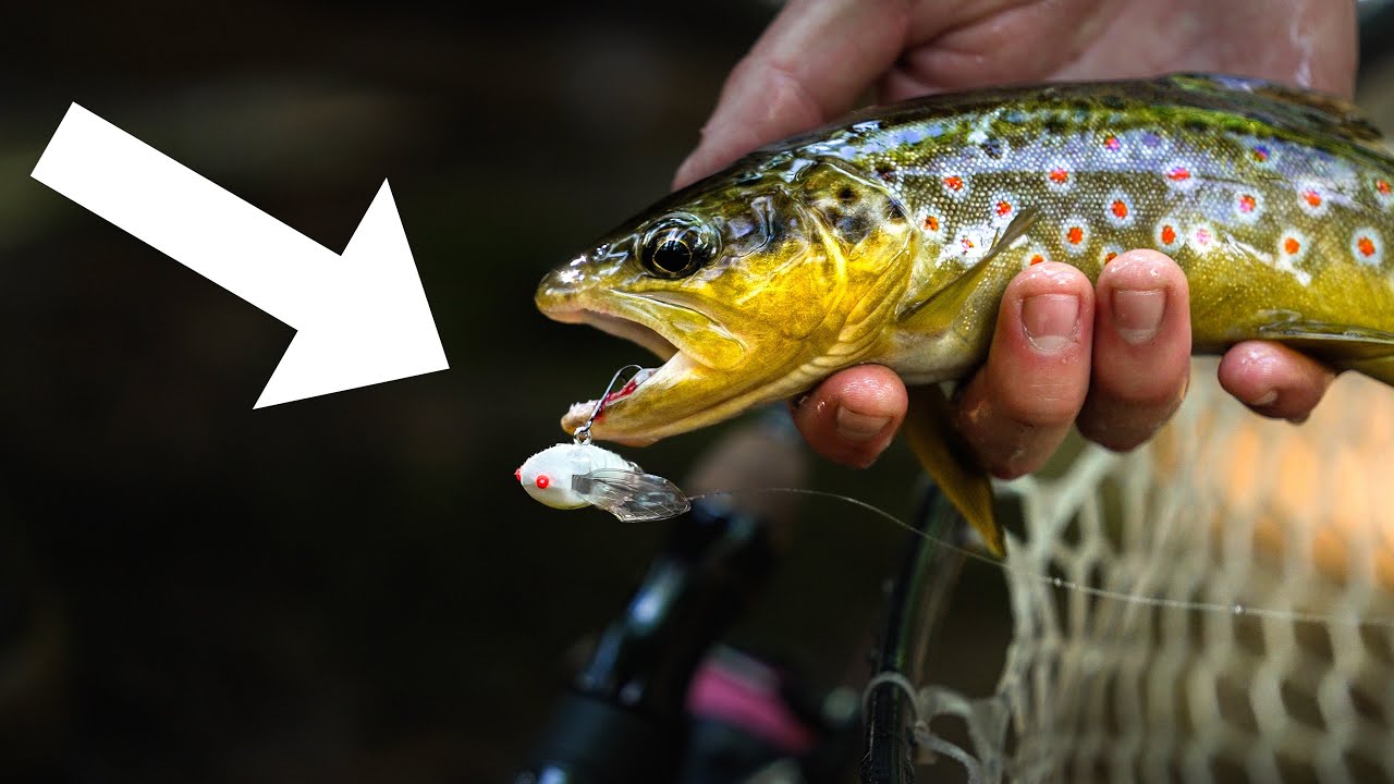 Fishing For Elusive CREEK TROUT With Japanese TOPWATER Lures