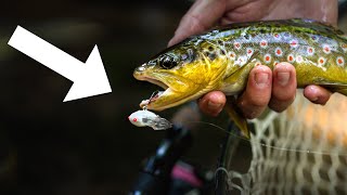 Fishing For Elusive CREEK TROUT With Japanese TOPWATER Lures!! Topwater Trout!