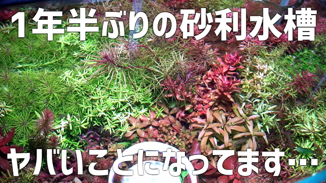 How did this happen? Here's the current state of the missing How did this happen? Here's the current state of the missing