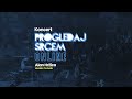 Koncert progledaj srcem online  alan hrica laudato tv studio