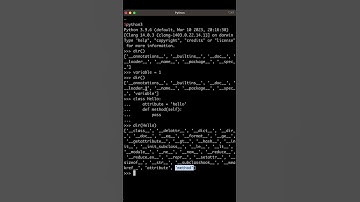 My most used function in Python 3, the `dir` function #python3 #basics #shorts