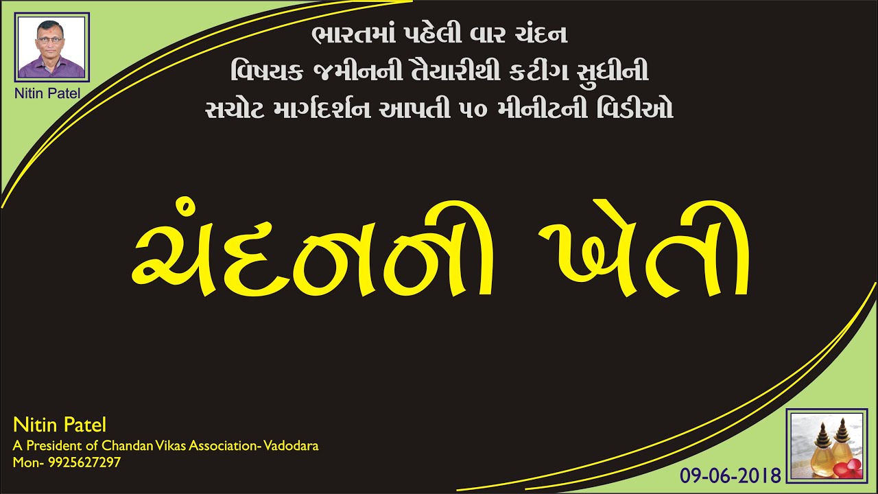 Chandan Nursery, chandan farming, sandalwood, Gujarati, Mo -9925627297, સવારે 9 થી 6 સાંજ સુધી