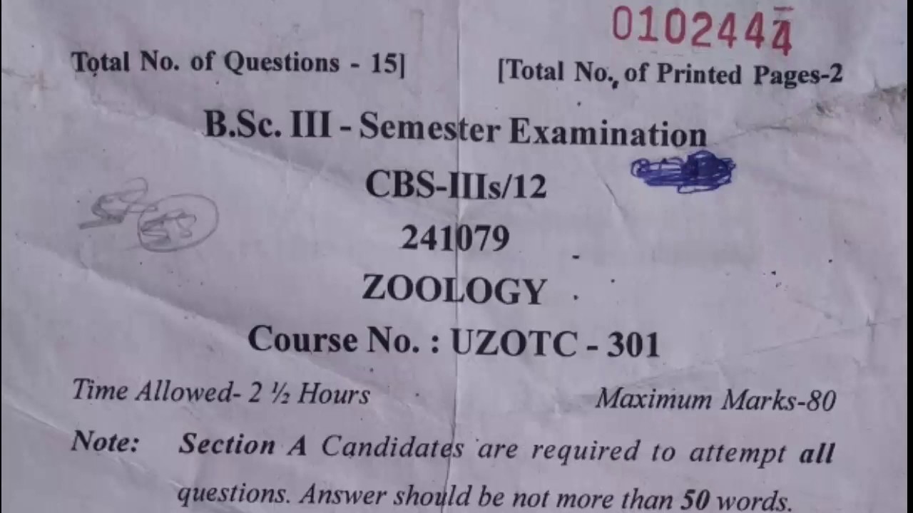 Bsc 3rd Year Zoology 1st Paper Bsc 3rd semester zoology paper 2019 - YouTube