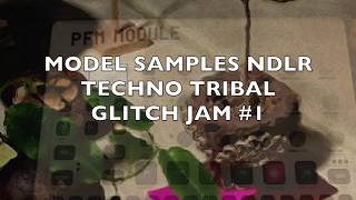 MODEL SAMPLES NDLR TECHNO TRIBAL GLITCH JAM #1