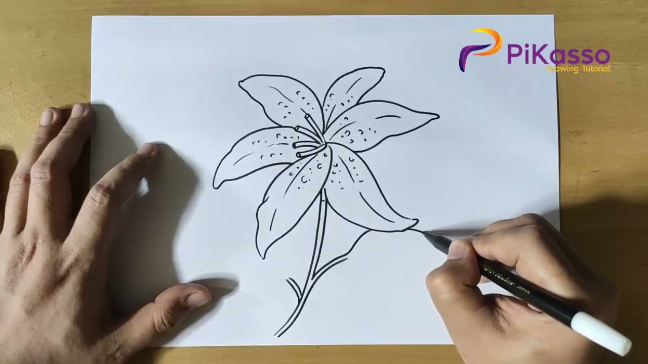 How to Draw White Lilies Very Easily