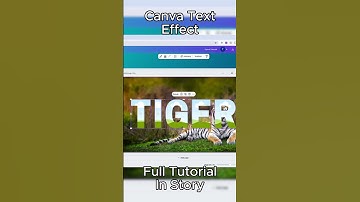 Mind-Blowing Letter Frame Design in Canva! 😍 | Canva Tutorial  #canvatutorial #canva #tutorial
