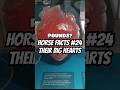 Horse facts are back! #horse #horsefacts #horses #horseriding