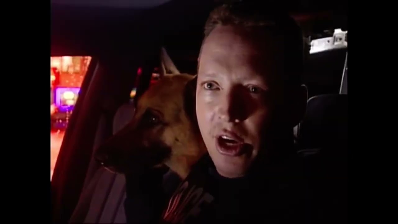 Dogs with jobs: brix