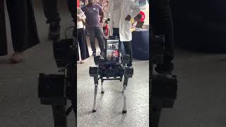 Robot Dog 12 #shorts #robots