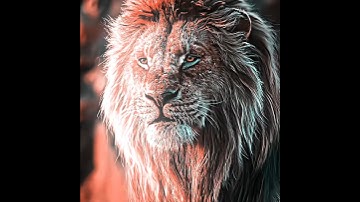 Simba x Mufasa Edit (4K) | Mufasa The Lion King x Die With a Smile (Slowed)