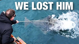 4 Days Camping and Chasing Halibut In Remote Alaska for my Bachelor Party