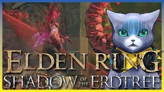 【09】ELDEN RING・土曜日のエルデンタイム！