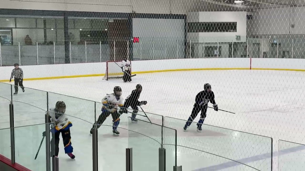 37 02282026 Whitby Wild P1